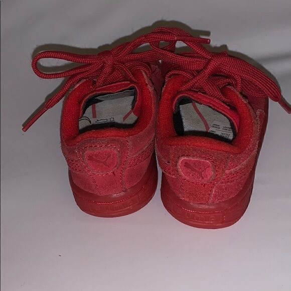 Puma    - Picture 4 of 5